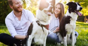 Perros en el parque